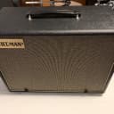 Friedman ASC-10 2-Way 500-Watt 10" Powered Guitar Amp Modeler Cabinet