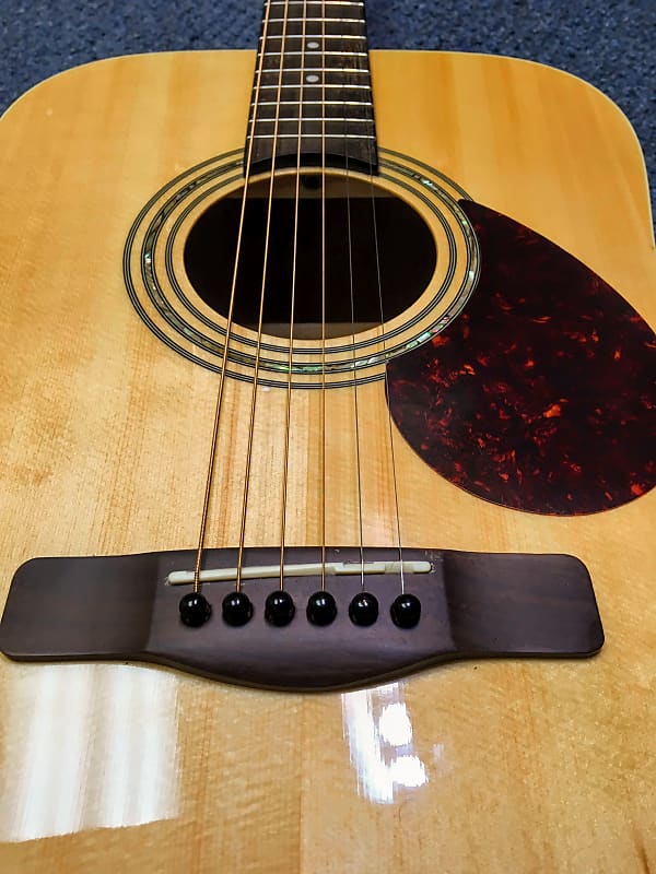 Samick Greg Bennett Regency Series D2 Acoustic Guitar | Reverb