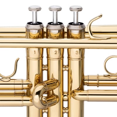 Stagg Bb Student Brass Trumpet w/ Case image 3