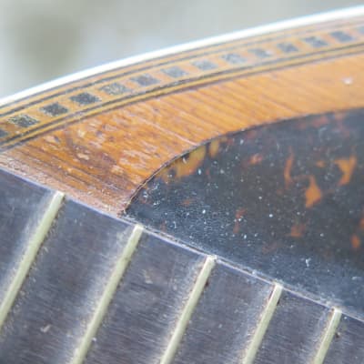 RARE vintage 1910 Victoria (Oscar Schmidt) flat-back mandolin New York / luthier project image 12