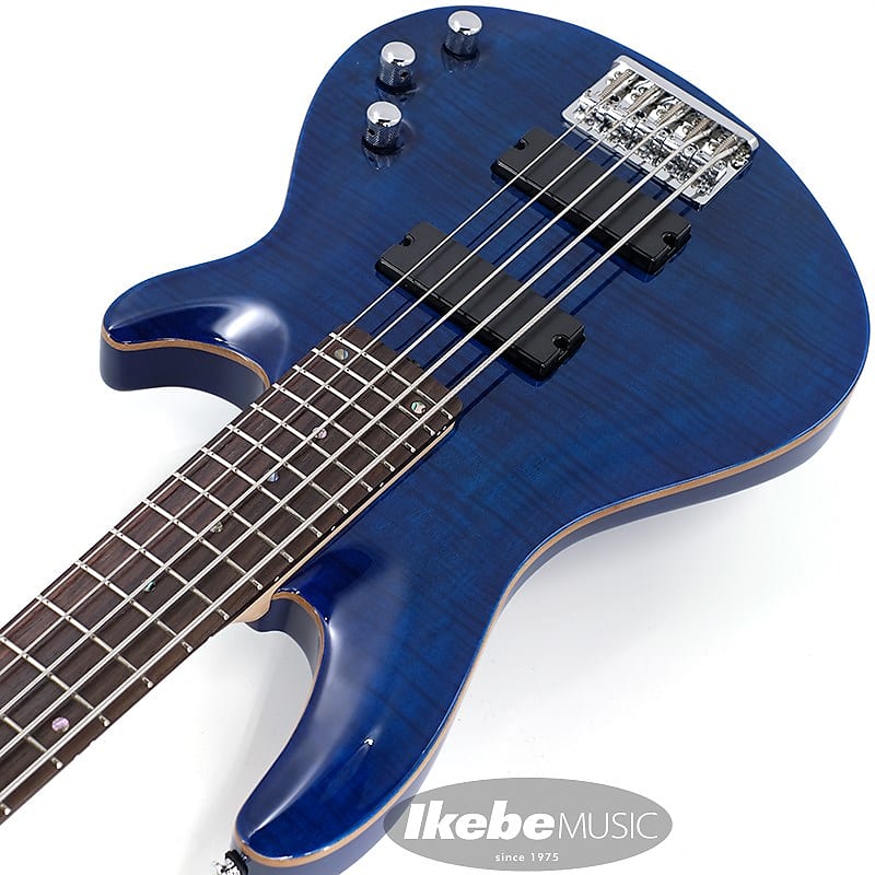 SCHECTER JOL-CT-B-5 (BKAQ) | Reverb