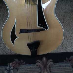 Big Opportunity-  Parker  PJ14 Hollow Body Jazz Guitar - never been owned 2009 Natural image 6