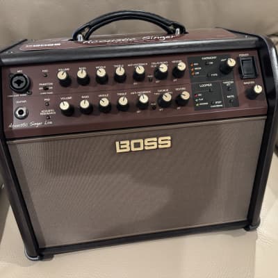  BOSS Acoustic Singer Live LT Guitar Amp (ACS-LIVELT) : Musical  Instruments