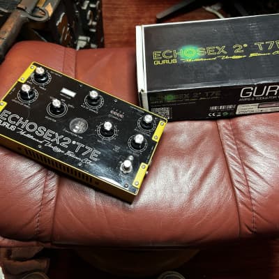 Gurus Echosex 2 T7E 2018 - Present - Black Bison Echorec Gilmour Tone for sale