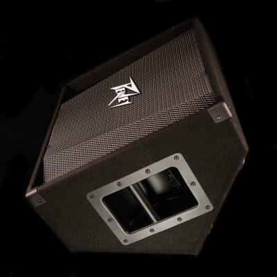 Peavey PV 12M Floor Monitor image 3