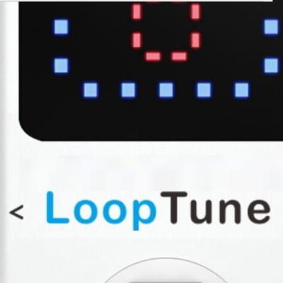 Kokko FLP-2T Loop Tune Floor Recording Looper w/ Built-in Tuner Option New Fast U.S Ship 2020 image 5