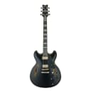 Ibanez JSM20BKL John Scofield Signature 6str Electric Guitar w/Case - Black Low Gloss Hollow Body Electric Guitar