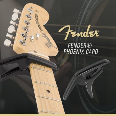 Fender CD-60 Dreadnought Acoustic Guitar Sunburst (V3) + Deluxe Bundle image 5