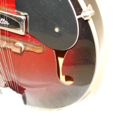 Schaller mandolin deals pickup