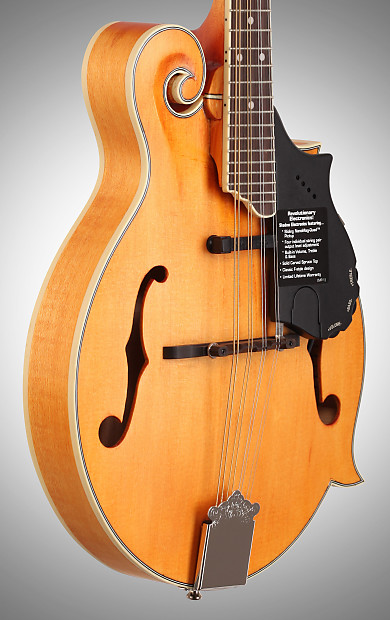 The Epiphone MM50E VN Vintage Natural