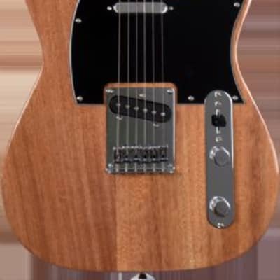 Jay Turser JT-LT-N-A Single Cutaway Electric Guitar. Natural for sale