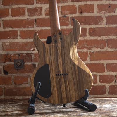 Acacia Guitars Romulus Arc | NAMM 2019 | electric guitar image 6