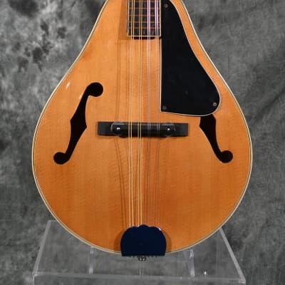 Kent A Style Mandolin Vintage 1970s Natural w FAST Same Day Shipping image 1