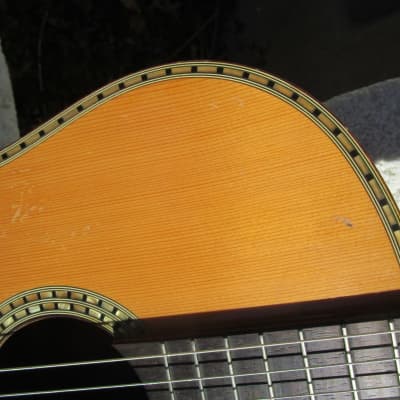 Giannini AWN 300 Classical Guitar, 1970's, Brazil, Rosewood, Very Ornate, Case image 6