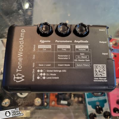 Used) ToneWoodAmp Solo | Reverb