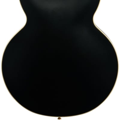 Epiphone Emily Wolfe Sheraton Stealth Electric Guitar (with Hard Bag), Black Aged Gloss image 5