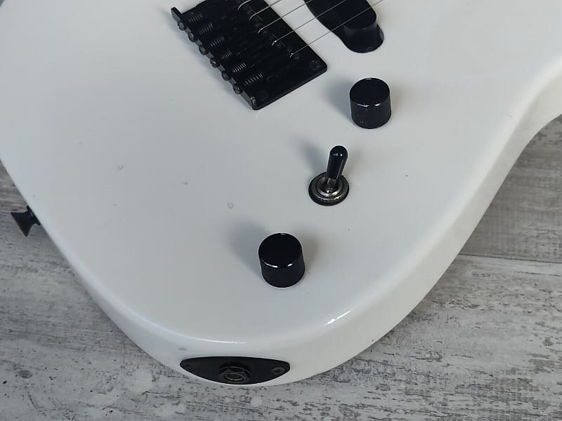 喜*里様 FERNANDES TE-115 BUCK-TICK今井モデル　サステ 喜*里様 FERNANDES TE-115 BUCK-TICK今井モデル サステΩ
