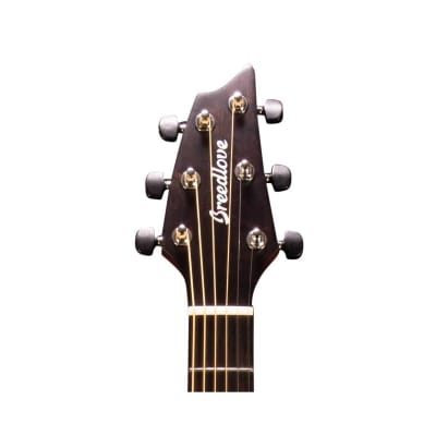 Breedlove Signature Concert Copper E Acoustic Electric Guitar, Indian Laurel Fingerboard, African Mahogany image 18