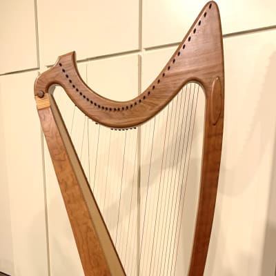 Musicmakers: Jolie Harp (33 Strings)