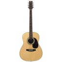 JB Player JB18 Auditorium Style Spruce Top Mahogany Back & Sides 6-String Acoustic Guitar