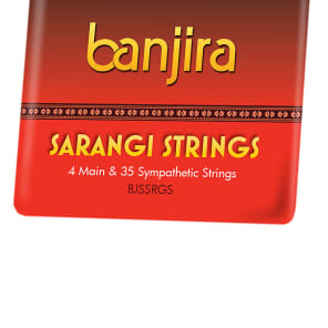 Banjira BJSSRGS Sarangi 39 String Set