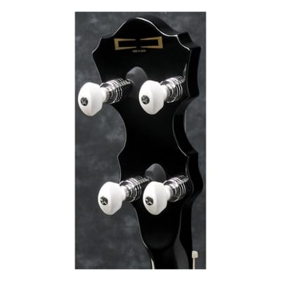 Ibanez B300 5-String Banjo, 22 Frets, Mahogany Neck, Rosewood Fretboard, Abalone Resonator Binding image 14