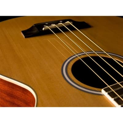 Washburn AB5K-A Acoustic-Electric Bass Guitar image 8