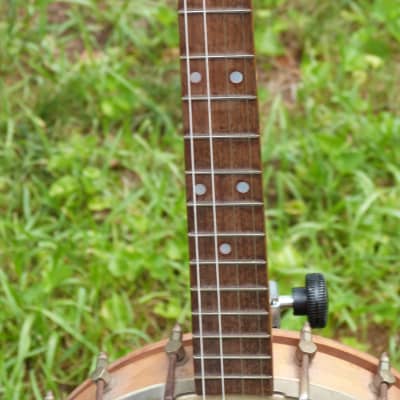 ss stewart  tenor banjo natural image 4