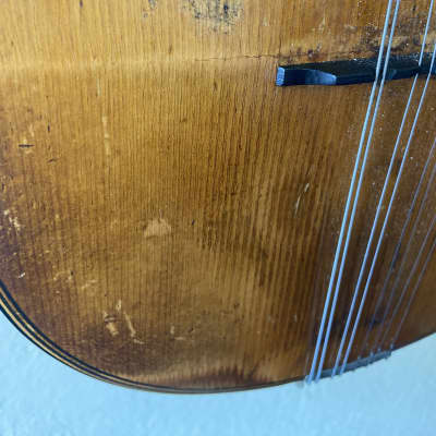 No brand Mandolin 1920s image 7
