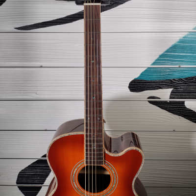 Zager ZAD-900 OM CE/AURA/VCS image 3