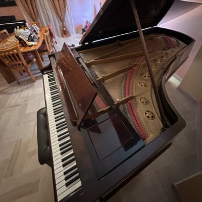 Chickering & Sons 58515 1881 - Marrone satinato image 6