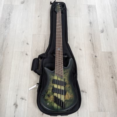 Spector NS Dimension 5 Multi-Scale 5-String Left-Handed Bass, Haunted Moss Matte image 11