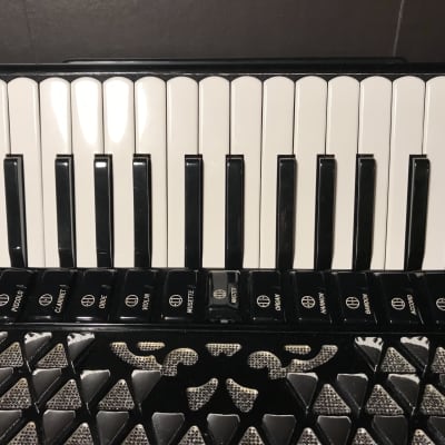 Accordion Brandoni 120 Bass 4+5 Piccolo 11 Register Professional 2000s Black Italy image 2