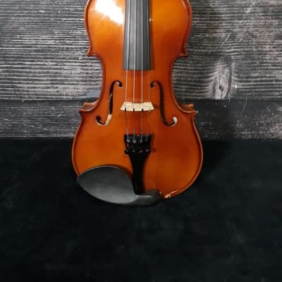 Carlo Robelli P10534 Violin with Case and Bow (King of Prussia, PA) image 1