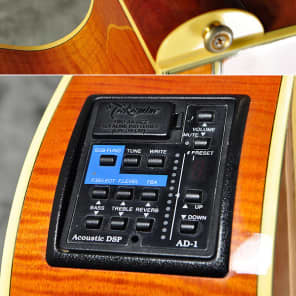 m*4様 Takamine DSP-015 TBS 511rSYufWiL._UF894,1000_QL80_.jpg