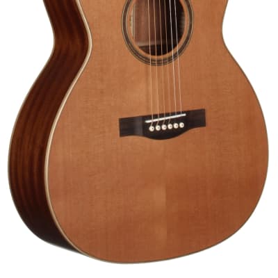 Morris F30 (Size O.M) | Reverb Australia