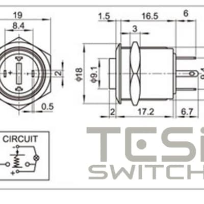 Tesi FILO 16MM LED Momentary Push Button Guitar Kill Switch Gold / White image 4