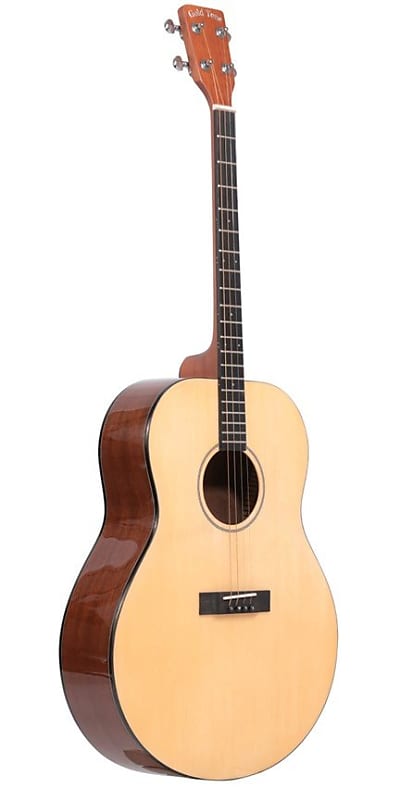 Gold Tone TG-10 Tenor Guitar with Gigbag image 1