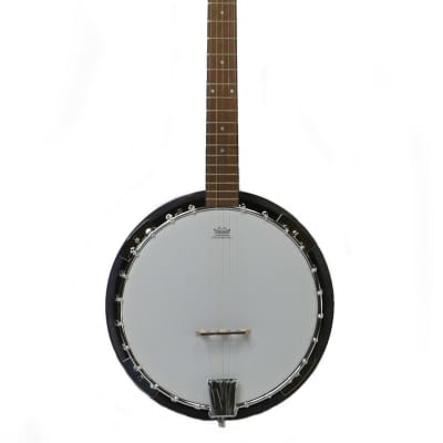 Zenison 5-String BANJO Traditional Bluegrass 10'' Remo Head Thick PADDED Gig BAG image 2