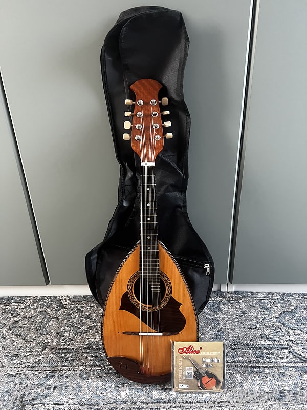 SUZUKIスズキ  マンドリンM-215 1974年　M215 Mandoline Suzuki M-215 Japan 1974 in gigbag | Reverb