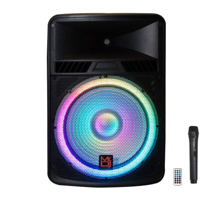 Dj speakers with built best sale in amplifier