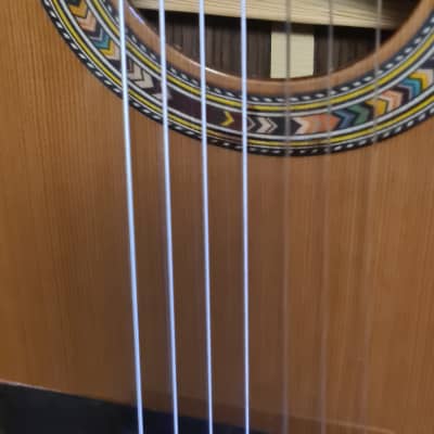 Kremona F65CW-7S - 7 String  Cedar/Indian Rosewood - Solid top and back WHC image 4