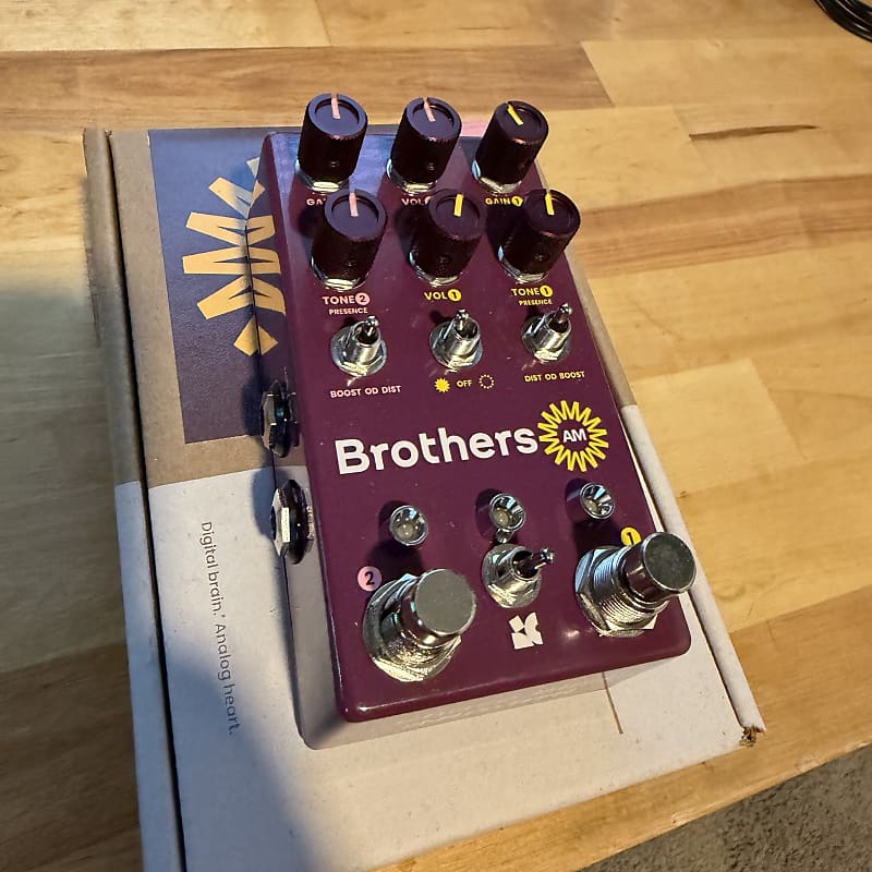 Chase Bliss Audio Brothers AM