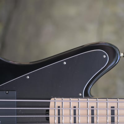 ESP E-II GB-5 String Bass - Black image 8