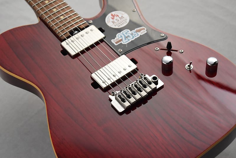 Bacchus Global Series TACTICS24-ASH/RSM 2022 - See-Through
