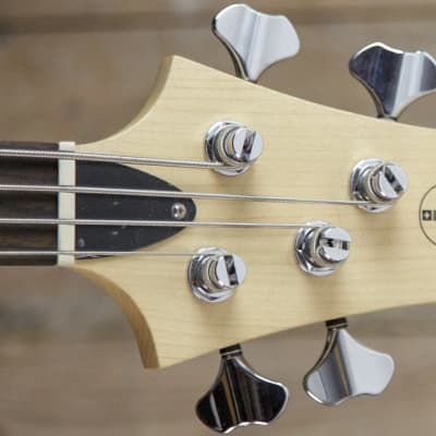 Duvoisin  Standard Bass  Translucent Black image 5