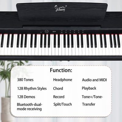 Glarry GDP-105 88-Key Home Full Weighted Keyboards Hammer-action Keyboard Digital Piano Black image 6