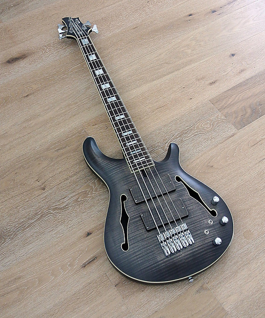 5 string hollow body clearance bass