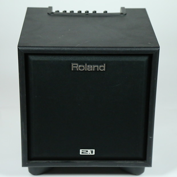 Roland CM-110 Cube Monitor Main Speaker Only | Reverb