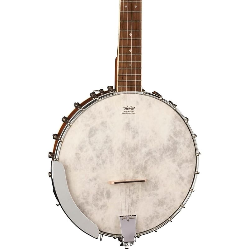 Acoustic sale electric banjo